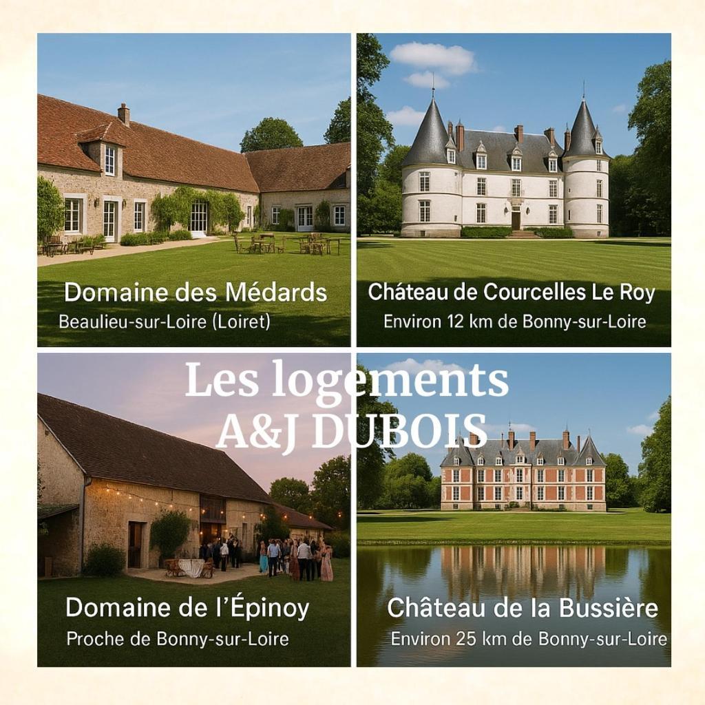 A&Jduplex - Bonny Sur Loire - Chateaux De Guedelon - Pont Canal Kültér fotó